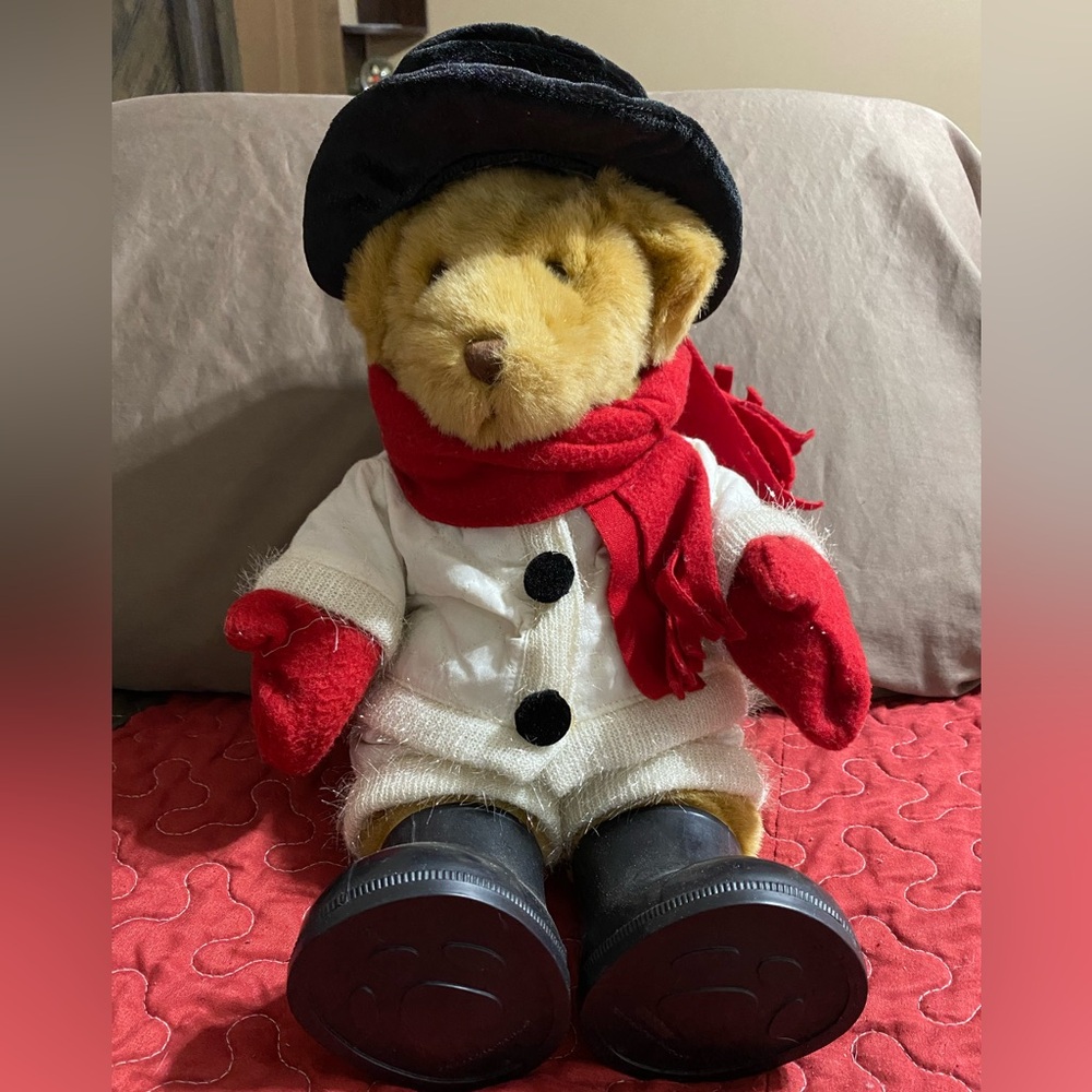 Build-A-Bear Bear with winter clothes